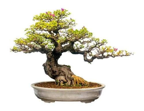 农村闲散时间干点啥赚钱,农村人在家赚钱的十种方法