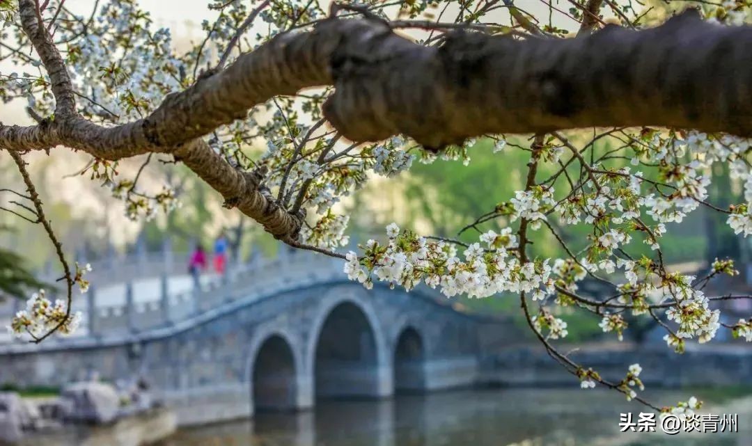 青州原来你是这样一座千年古城,青州原来叫什么名