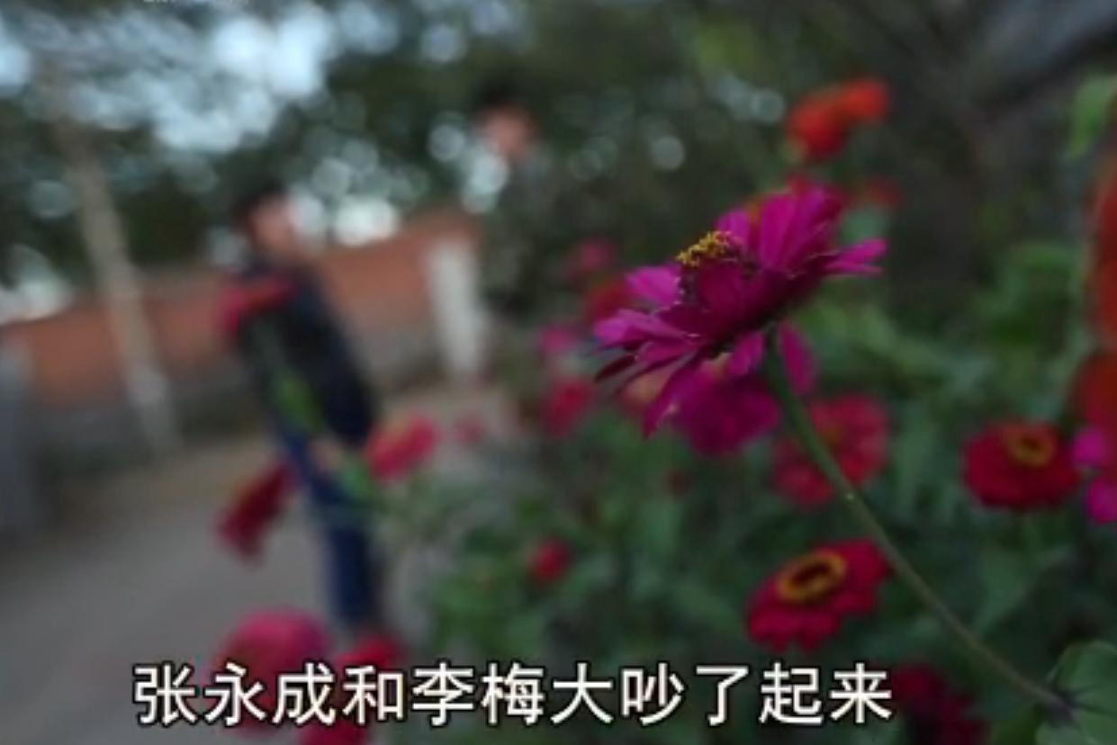 辽宁女子梦到殡仪馆亡父求救,女子做梦梦到弟弟被害地点