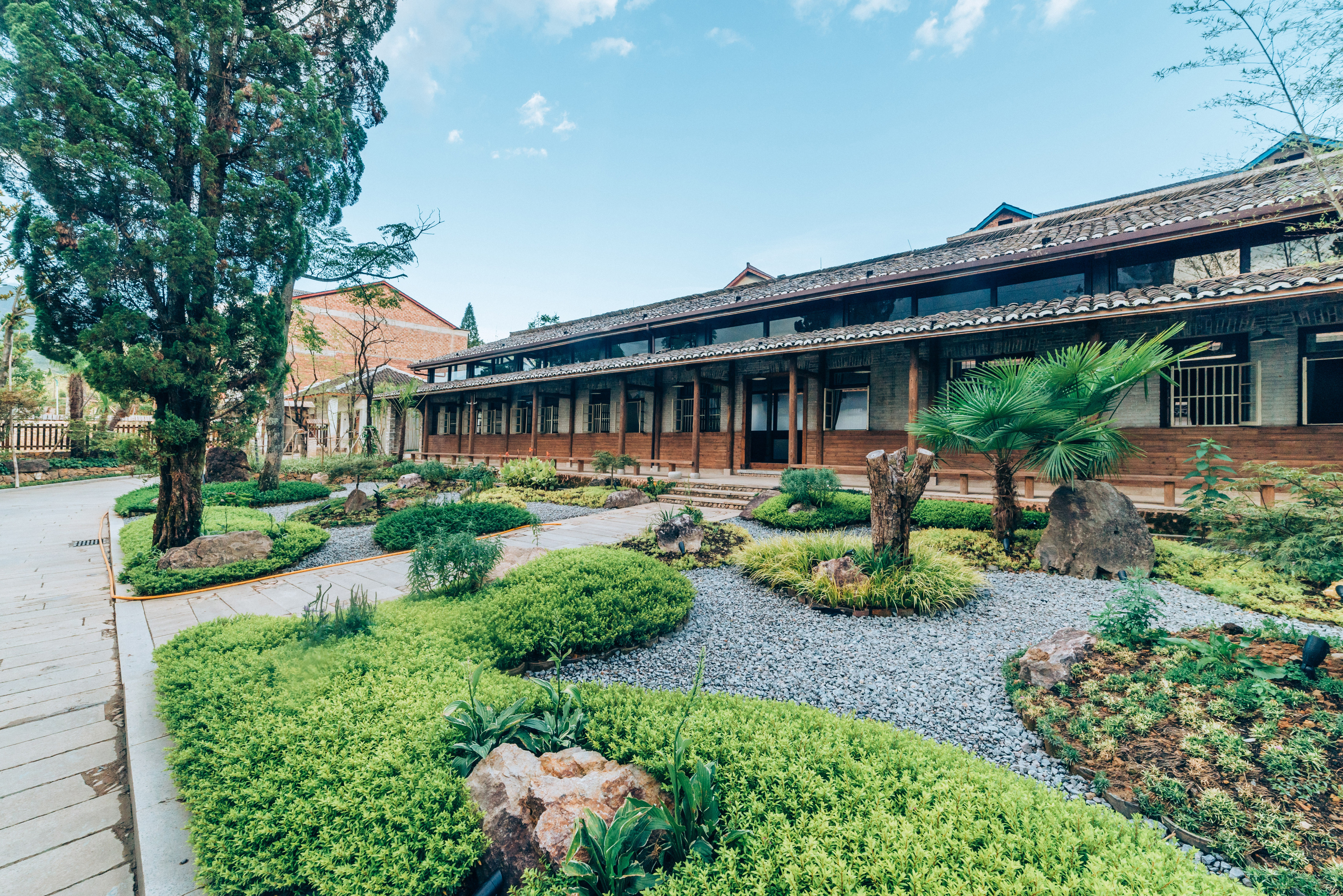 行游五府山：解密3宝，山野美味游走舌尖，传递平实的幸福