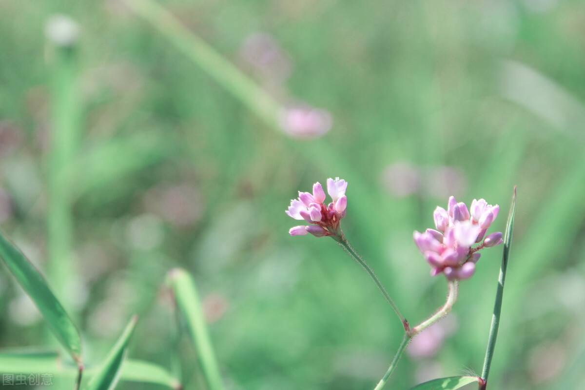 退休后没有朋友就幸福了,退休后没有一个朋友