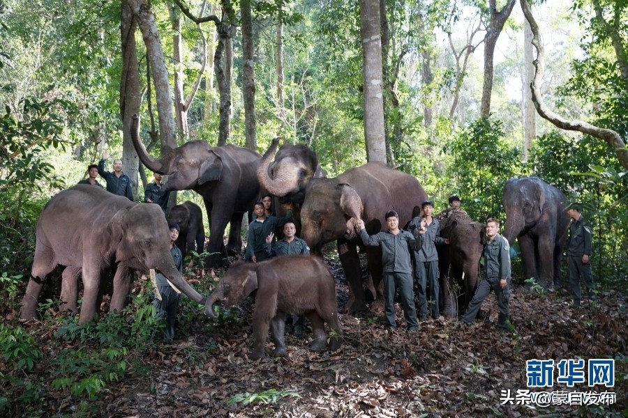 cop15第二次会议,cop15云南会场