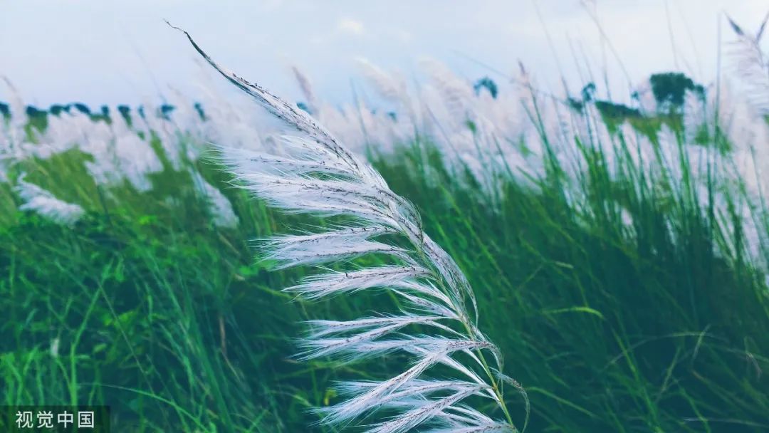 堪称经典的十首古诗词,最唯美的十首古诗词