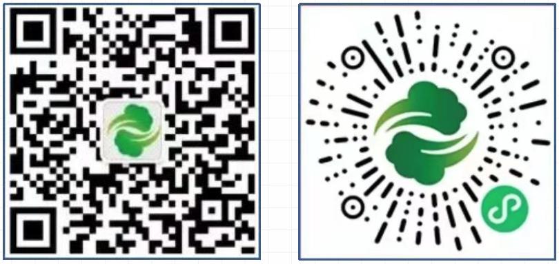 最好的线上买菜平台排行榜,西安目前线上买菜平台