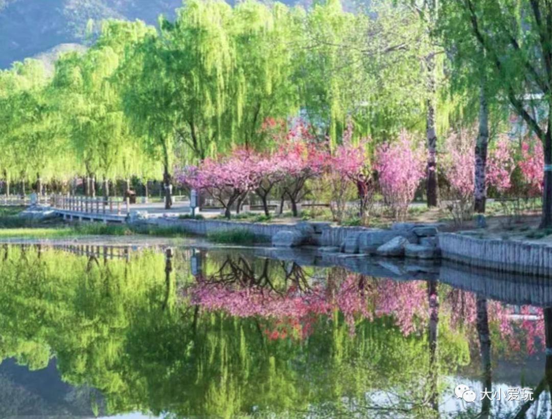 超级美的樱花美景全景,浪漫樱花海美景图