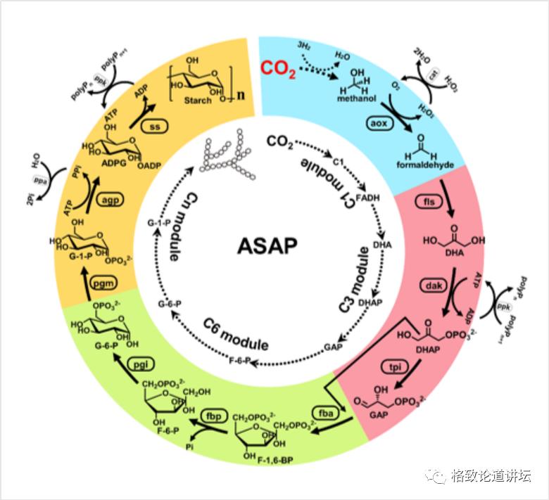 二氧化碳变成淀粉靠谱吗,用二氧化碳合成的淀粉怎样吃