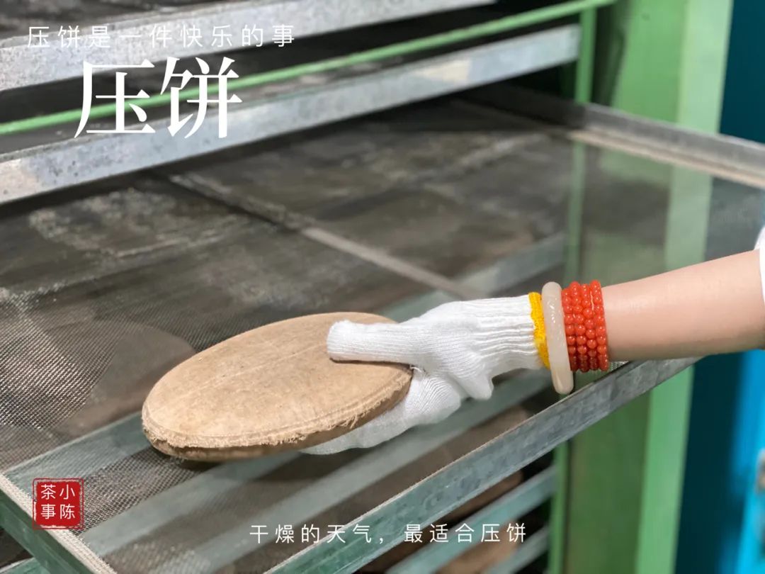 “南郭先生”、拉帮结派、化整为零，说说最近福鼎白茶的一些变化