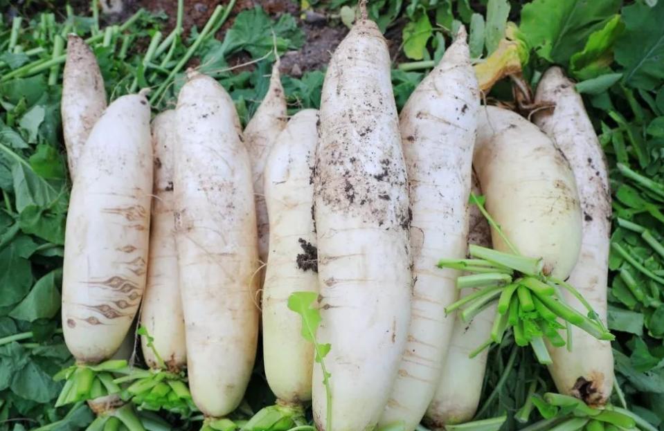 大家注意了这4种蔬菜建议你少买,入夏必买的10种菜