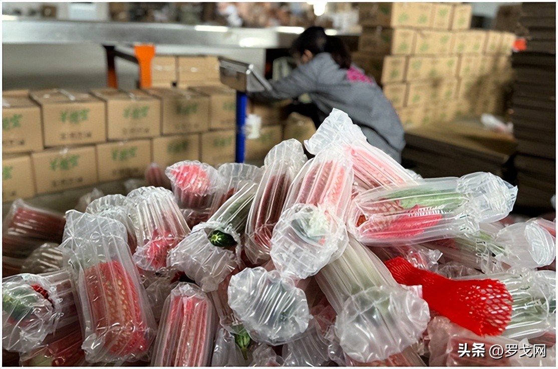 拼多多的开放平台云是什么,云时代的所有系列