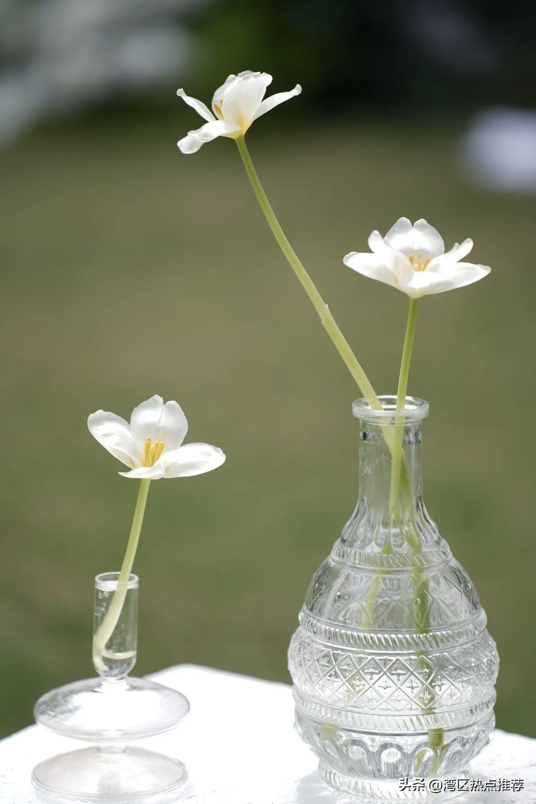 精彩回顾｜“无瑕”春季婚礼秀