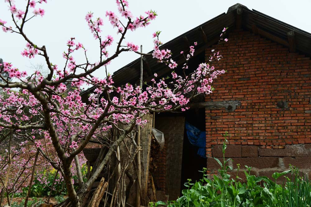 三峡移民珍贵影像,摄影师记录三峡移民