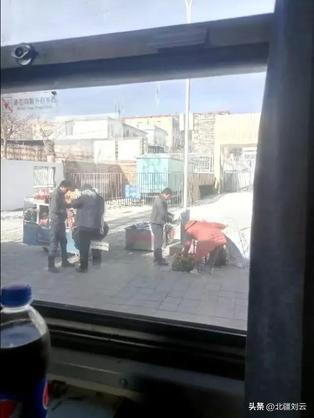 我在新疆摘棉花英文,我在新疆种棉花完整版