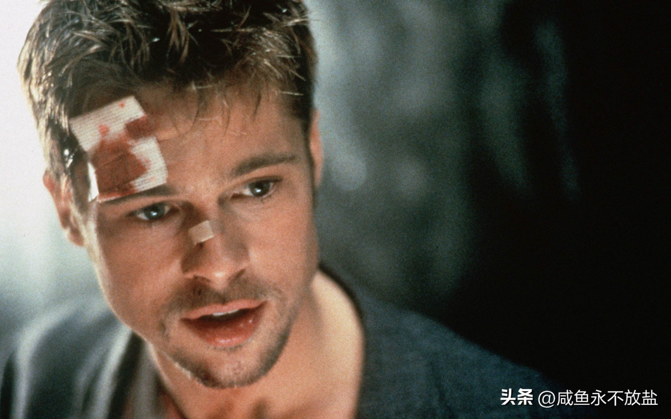 电影的隐喻性表达,谈谈电影中的隐喻