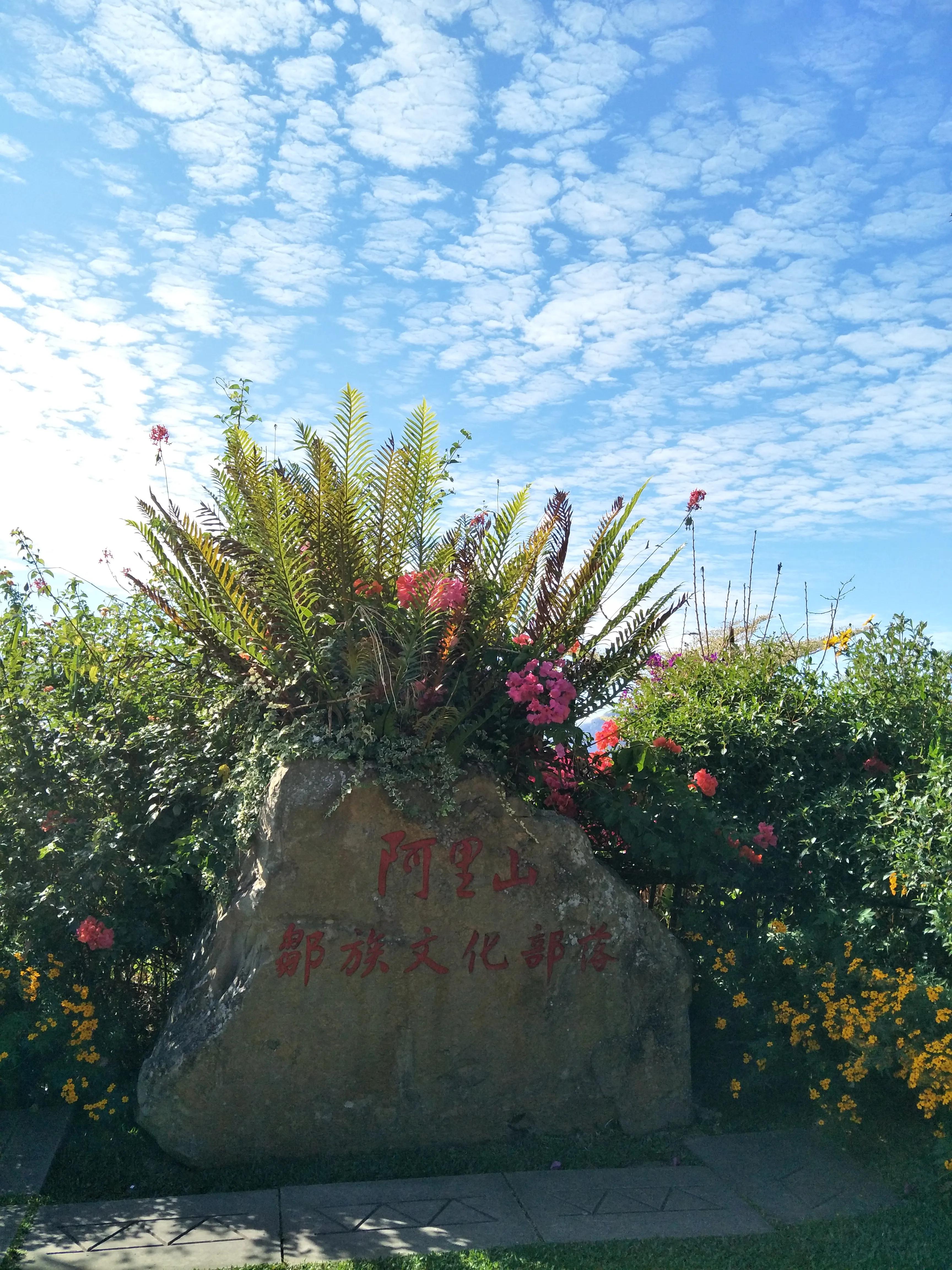 阿里山的云雾让人惊愕的是什么,阿里山的云雾莫名的惊愕和喜悦