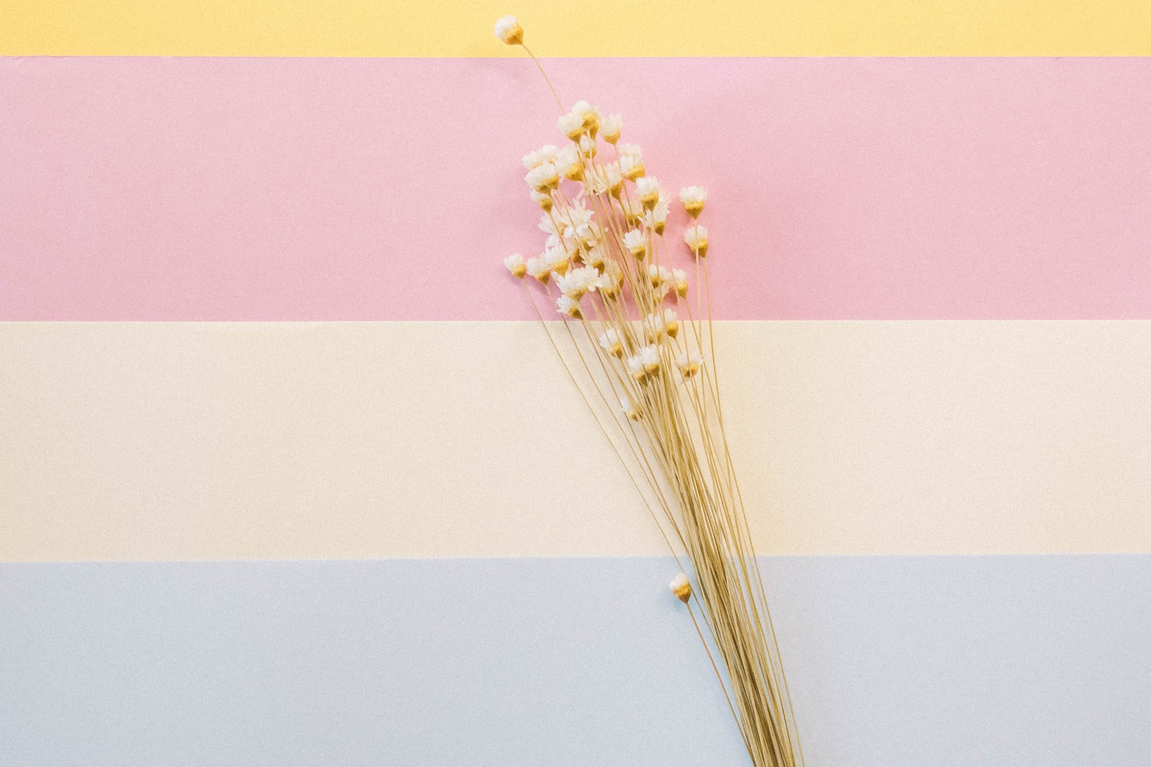 2023年属兔的处女座的运势,处女座2023年运势完整版