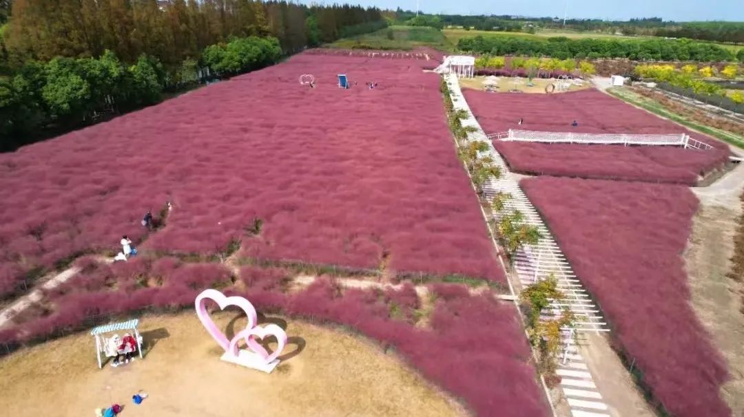 上海露营卡丁车哪里好玩,魔都自驾露营怎么玩