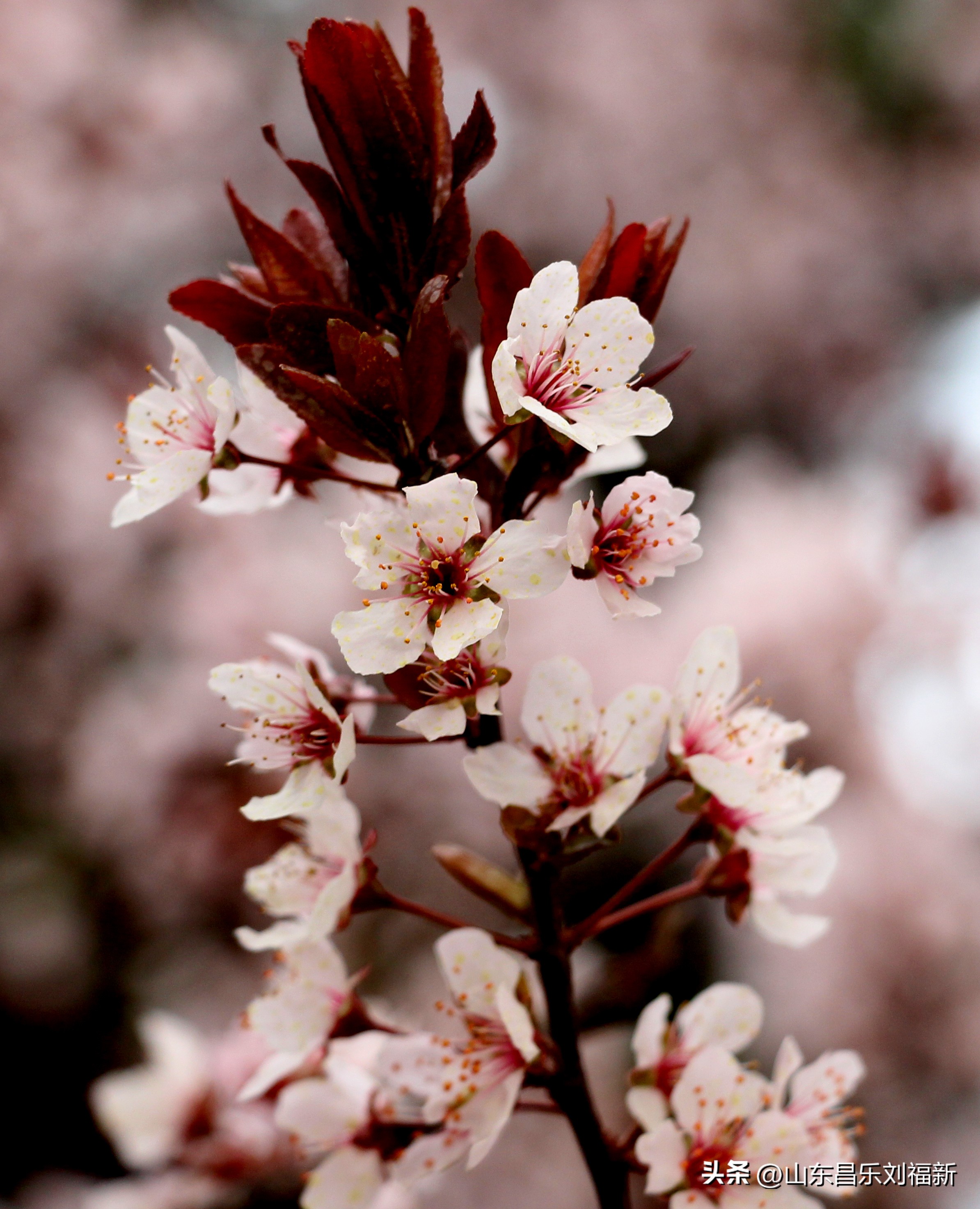 2023年3月中旬散拍·一点儿感受