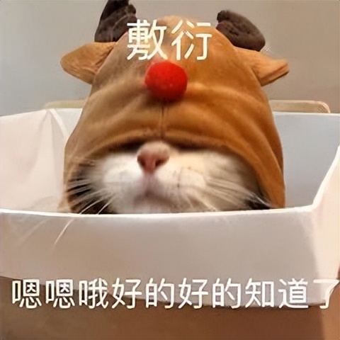 贩剑表情包评论区,贩剑表情包不回消息