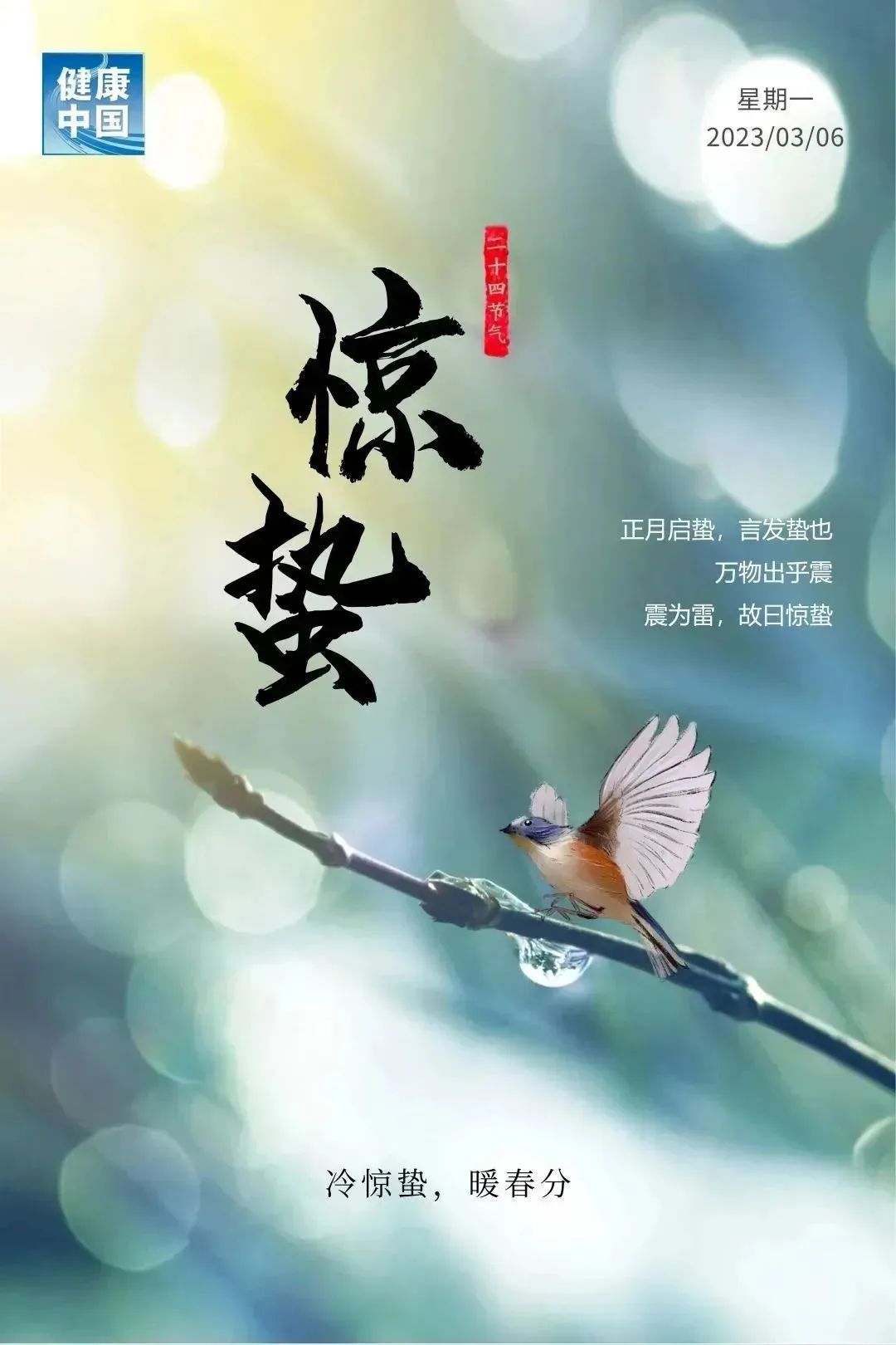 今日惊蛰万物复苏茶芽新生,今日惊蛰万物复苏花枝俏