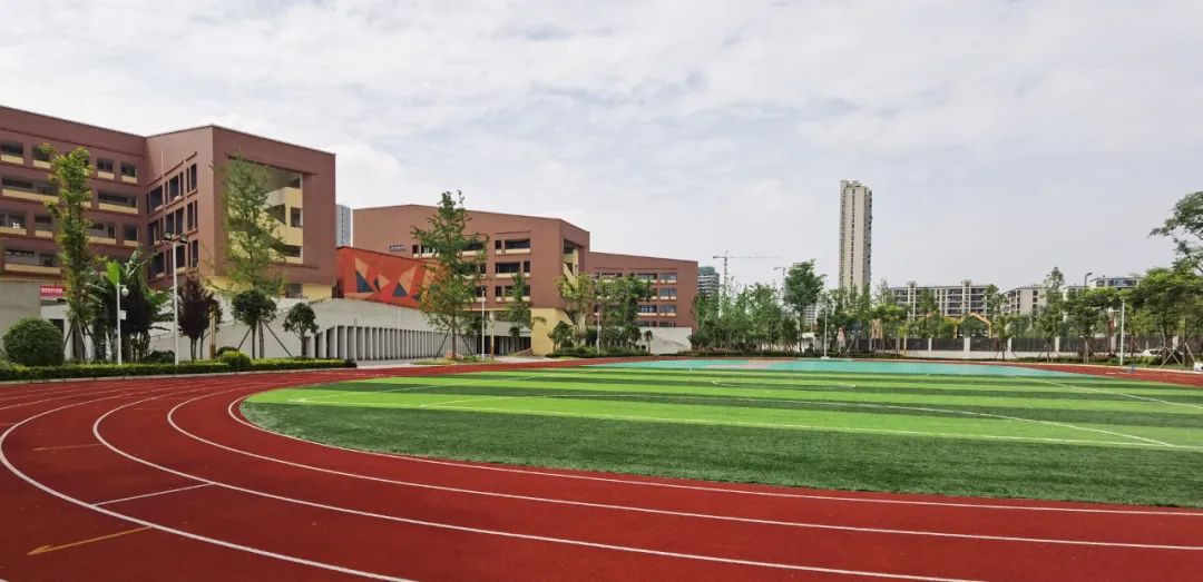 新川教科院附小怎么样,新川教科院附属小学入学条件