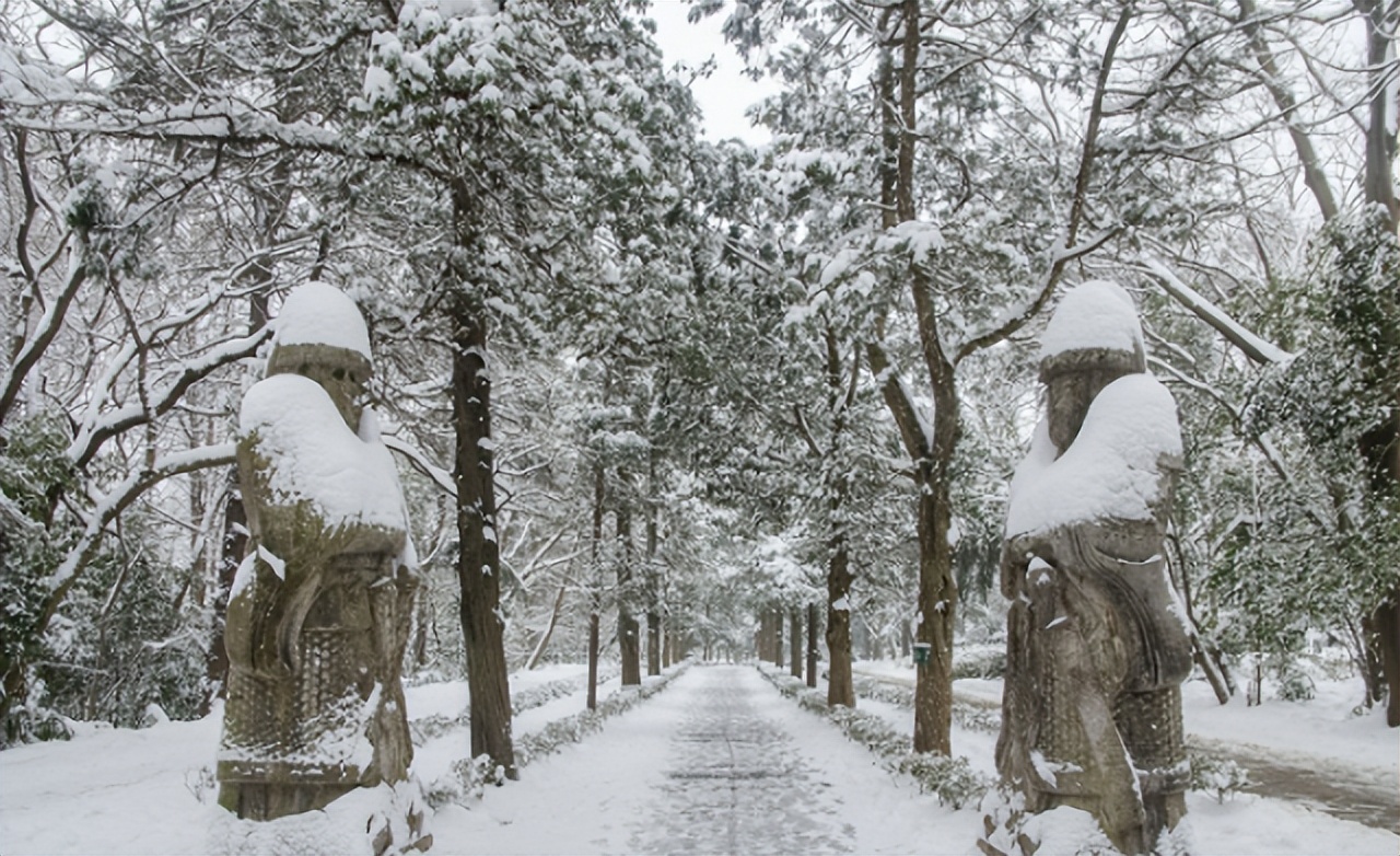康熙明孝陵前祭拜朱元璋,朱元璋真的葬在明孝陵吗