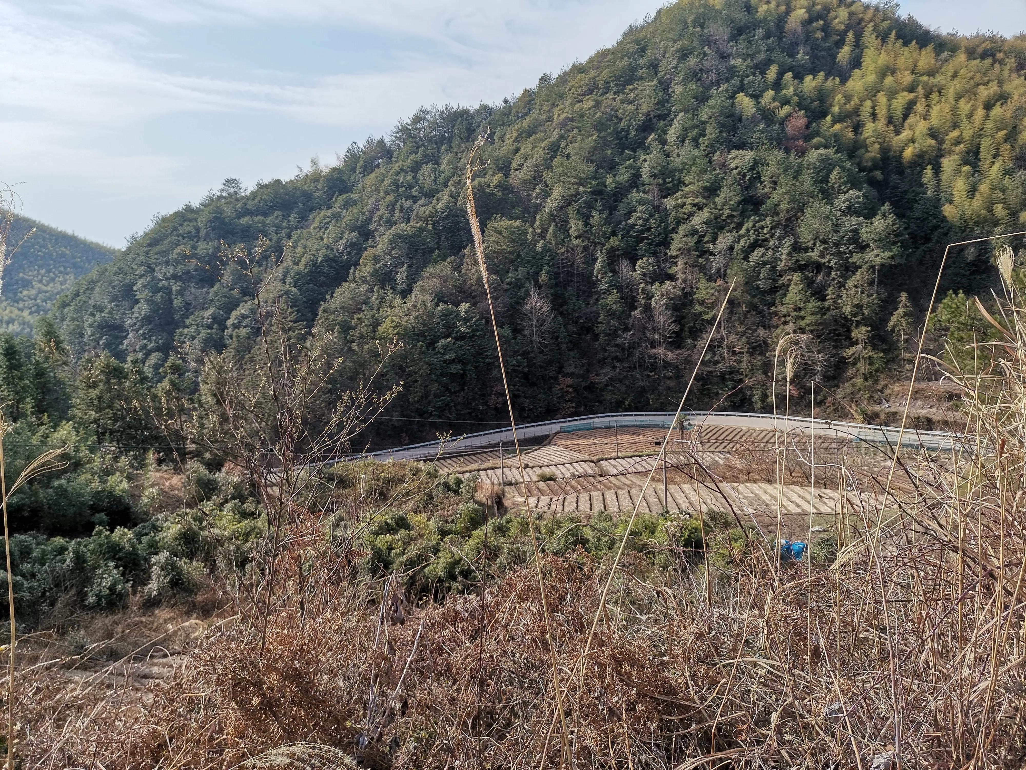 跨境电商助力出口,跨境电商出口模式发展研究