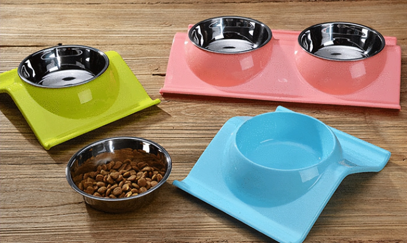 新手养猫不迷路，第一次养猫准备这些就够了