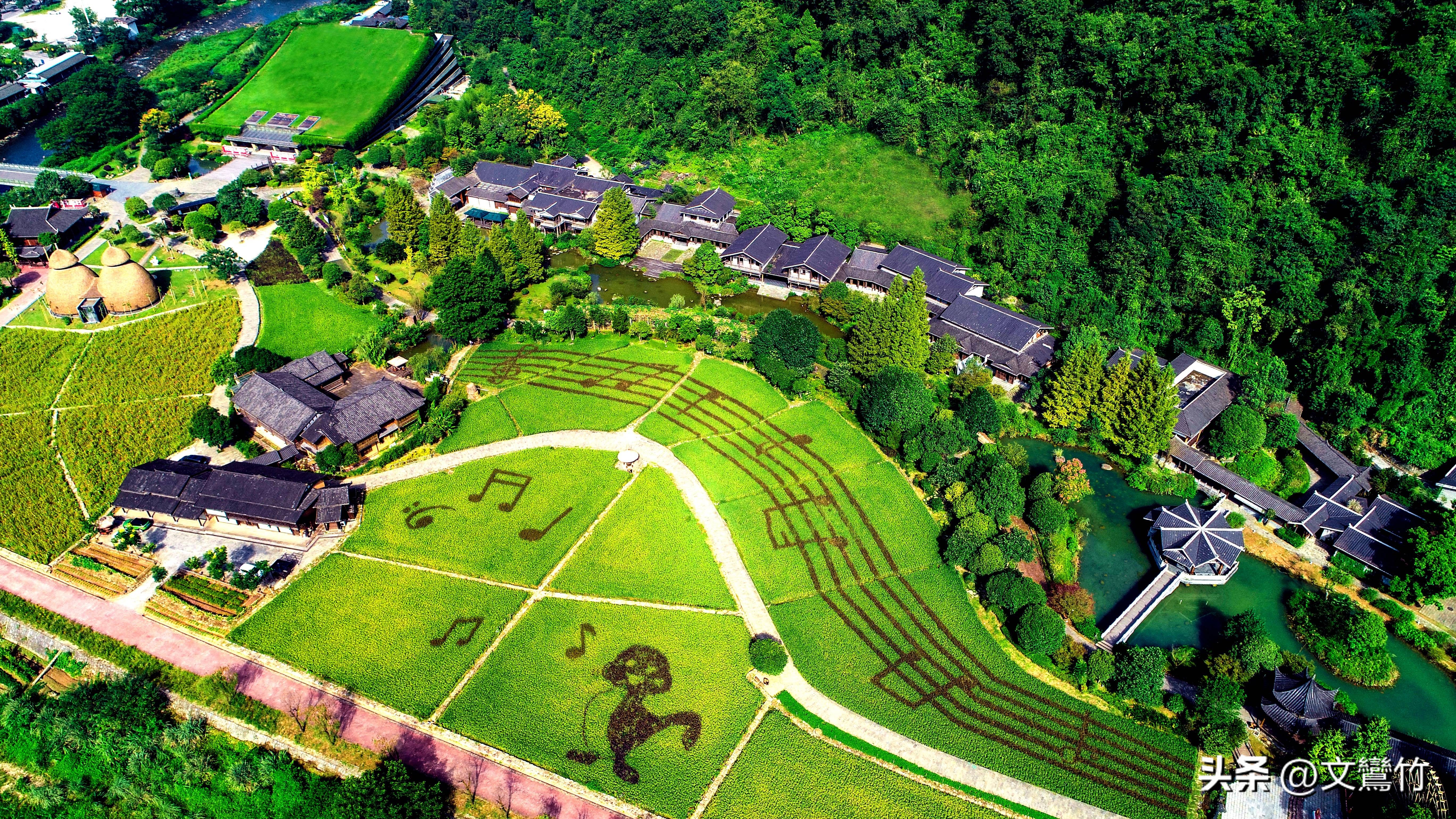 张家界甲鱼价钱表,张家界甲鱼