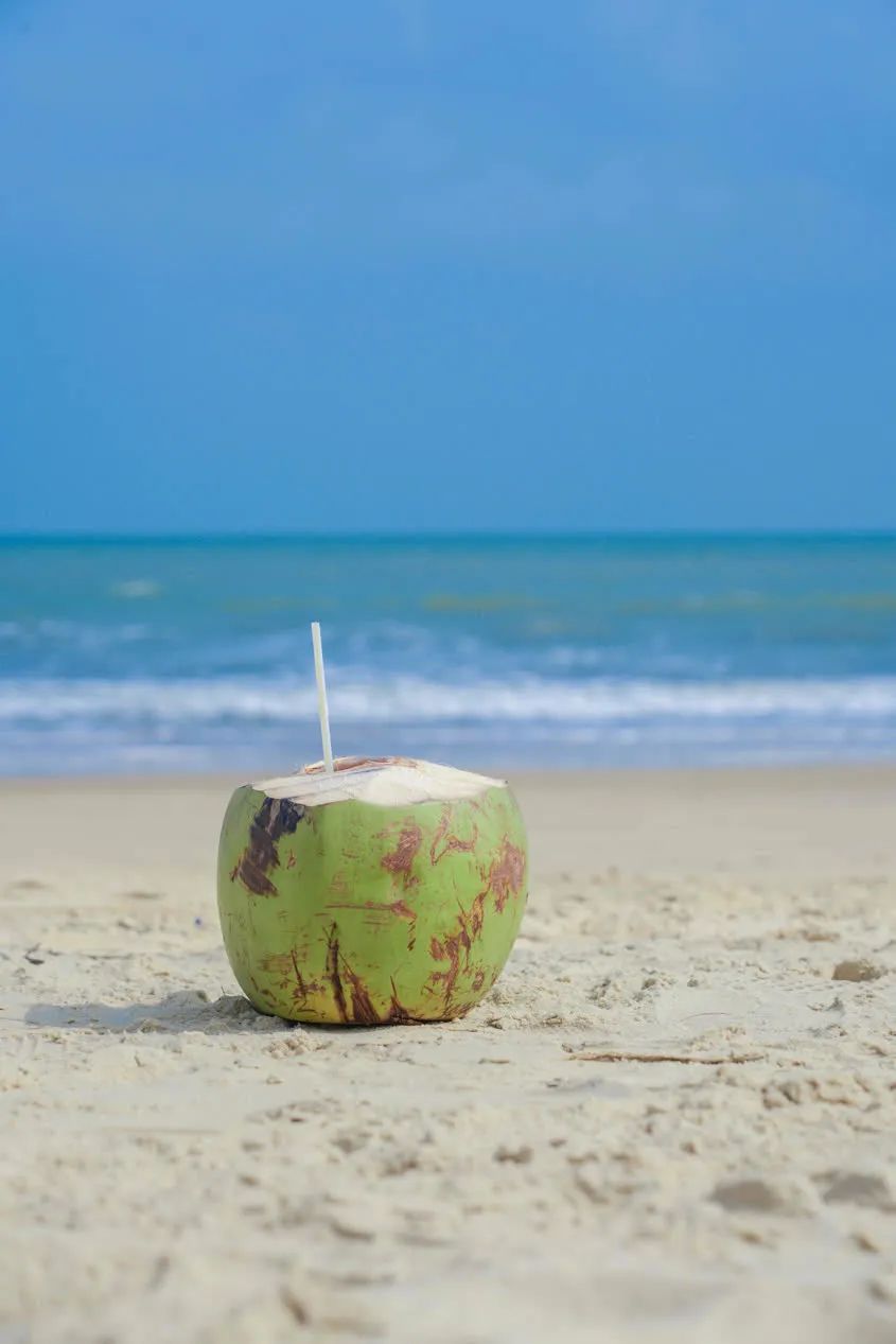 江东打卡｜漫步十里金滩看江东海天一色