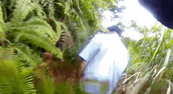 采摘杨梅小贴士,仙居杨梅采摘最佳时间