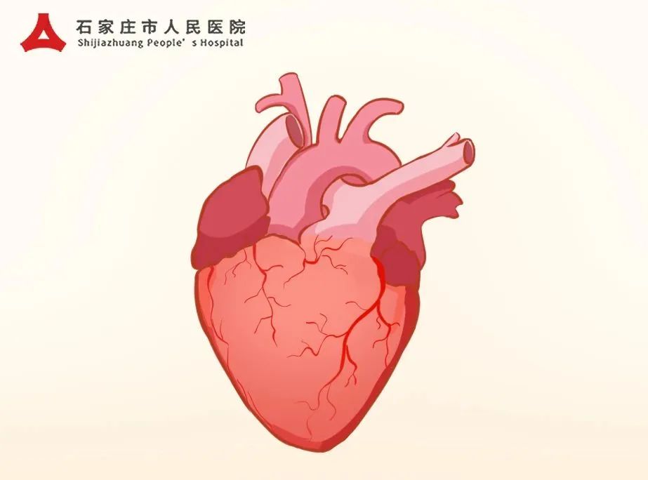 甲亢3年,甲亢三年后才被发现