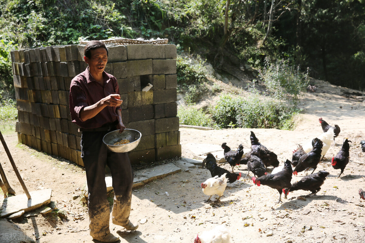 鐙愮嫺浜т粩琚汉鏁戝姪鎶ユ仼,鐙愮嫺杩涢浮鑸嶅挰姝婚浮