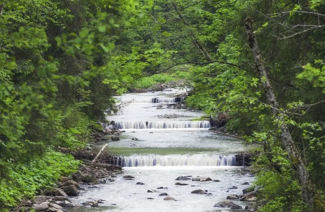 吉林漂流最好的地方在哪,吉林漂流哪天开始