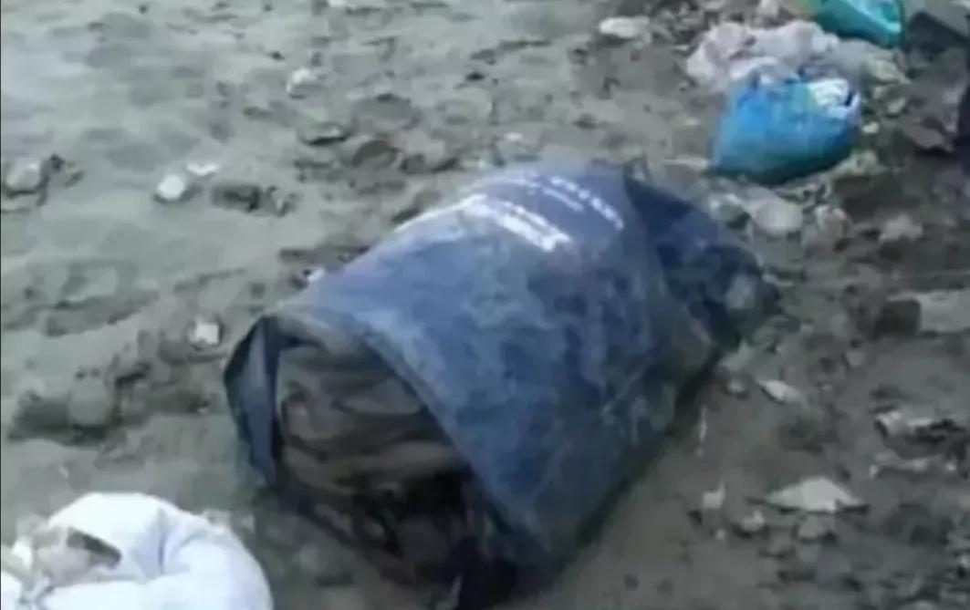 “死乞白赖”得不到爱情，哺乳期的她被“准丈夫”勒死斩成6截！