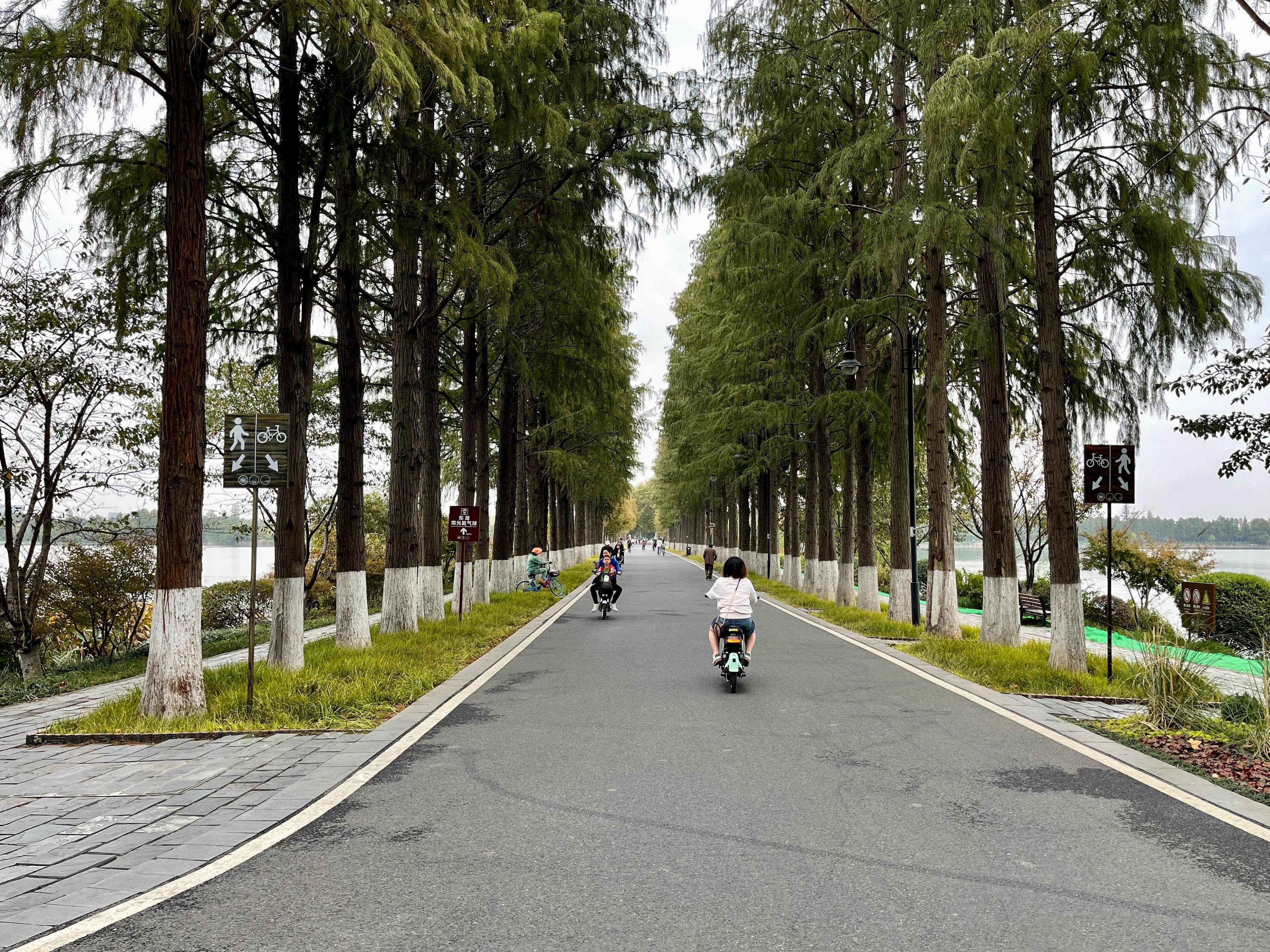 武汉有哪些好玩的地方推荐,武汉江夏亲子游最佳地方推荐