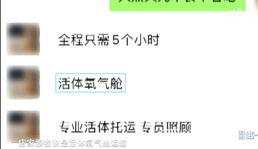 女子花十万元网购,女子花2300元买猫咪