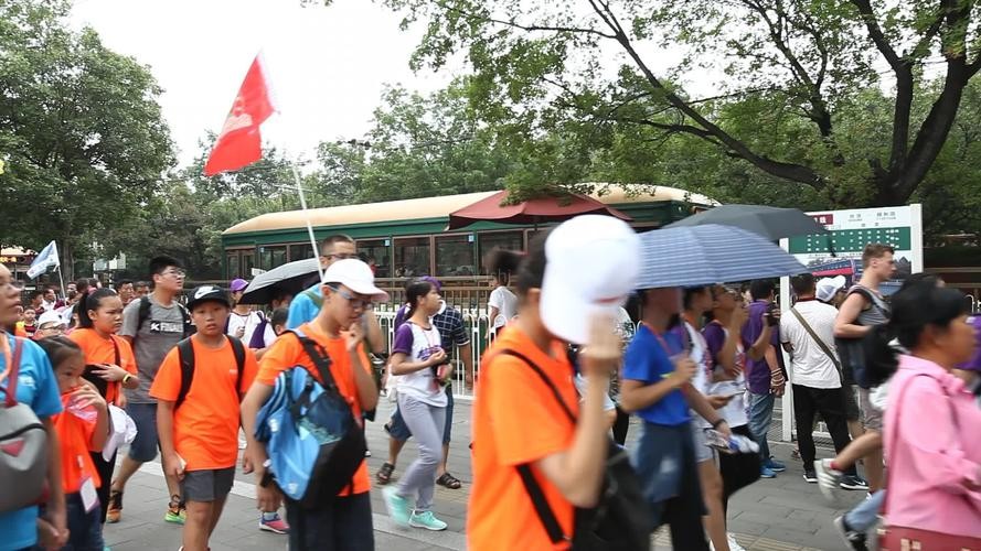 48岁导游中暑后去世,北京导游中暑身亡事件