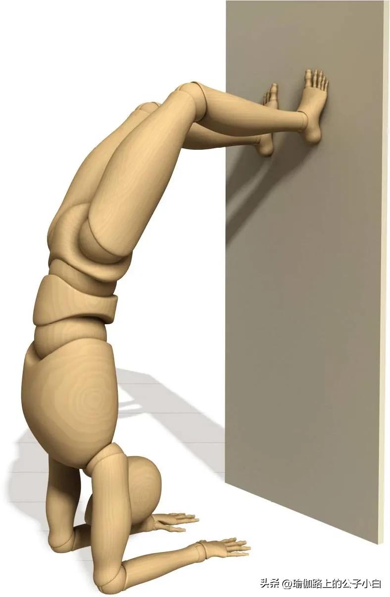 瑜伽解剖体式哈他,瑜伽解剖体式讲解