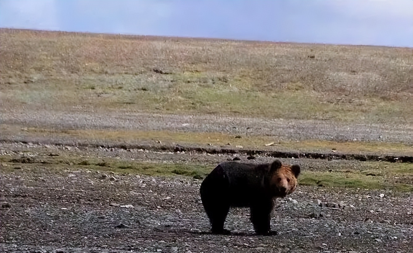 读《北方的空地》：人生才是探险，出世入世，不过一个转身