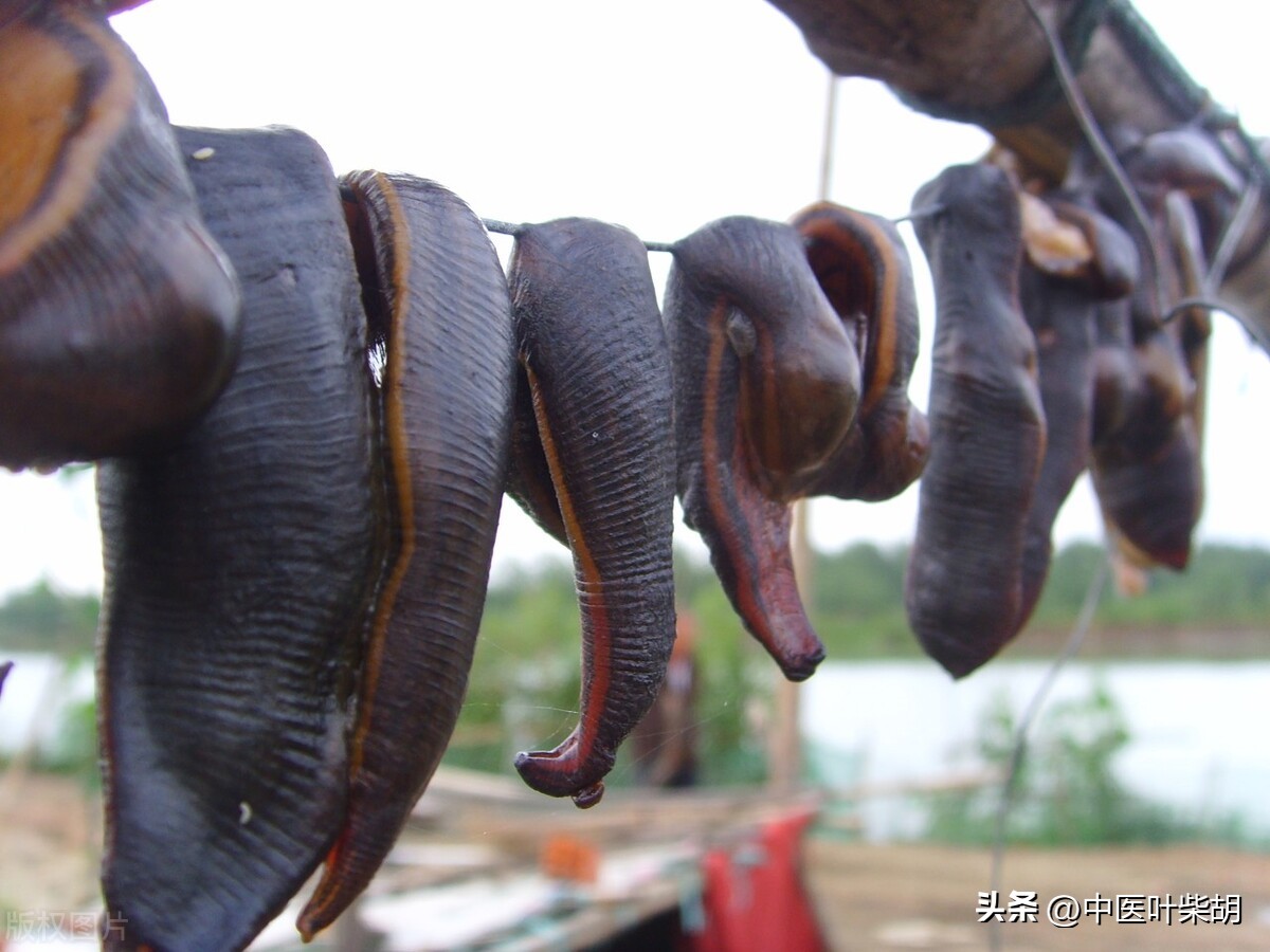 男子阳痿治疗,男子阳痿怎样治疗