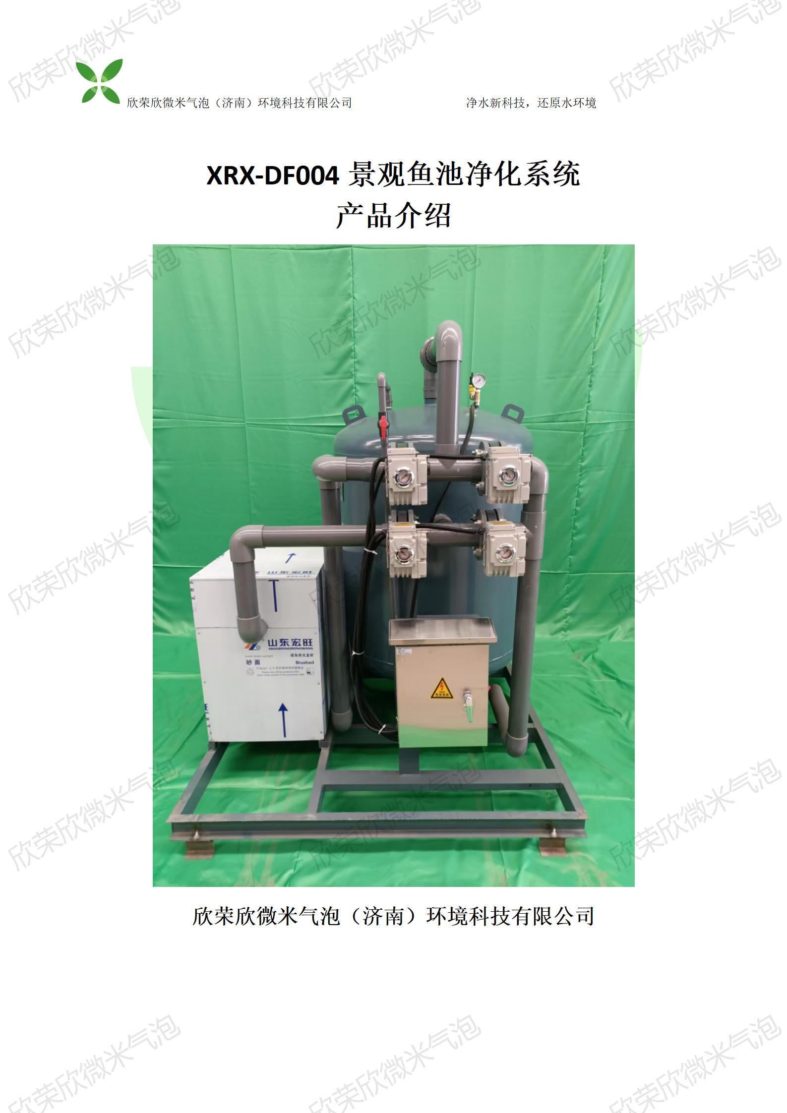 最简单鱼池净化系统,鱼池自净化生态系统