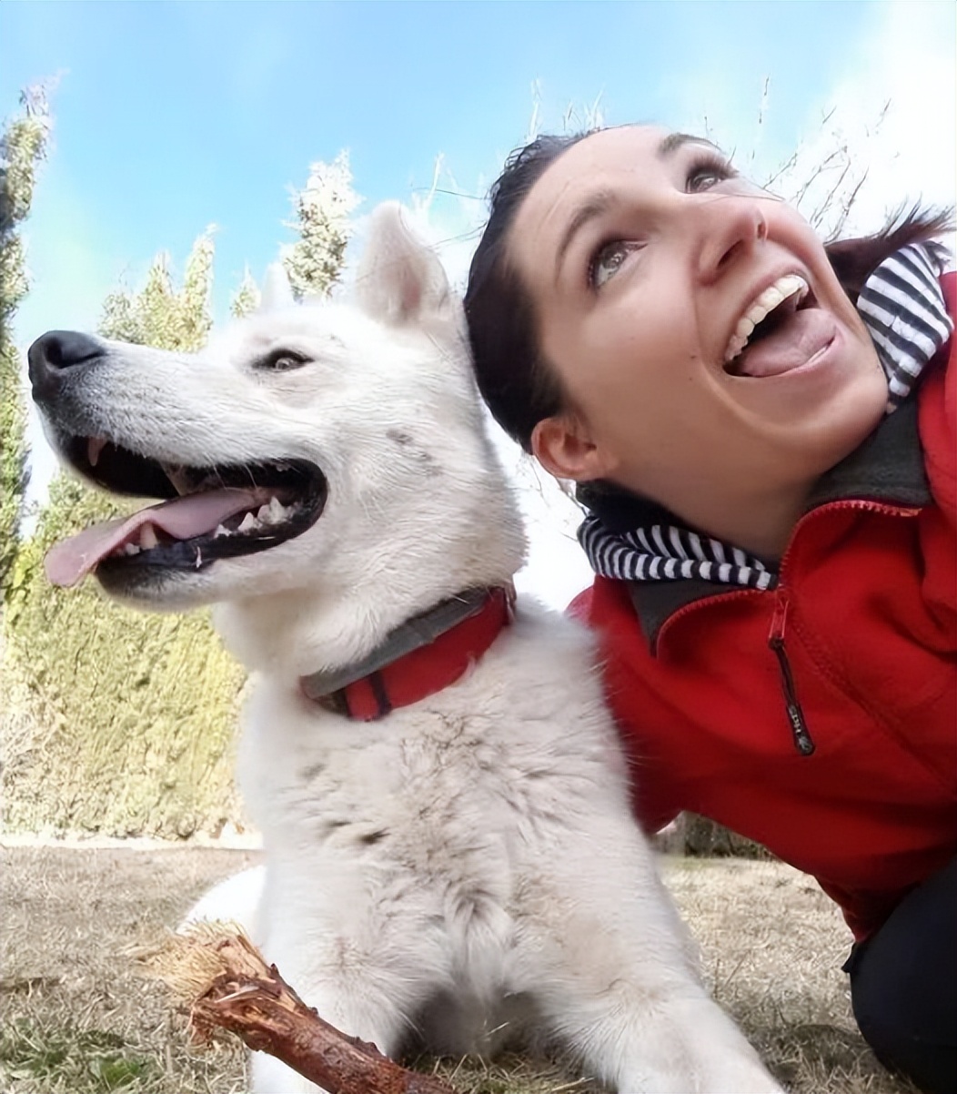 怎么选一条家狗,狗市选狗技巧