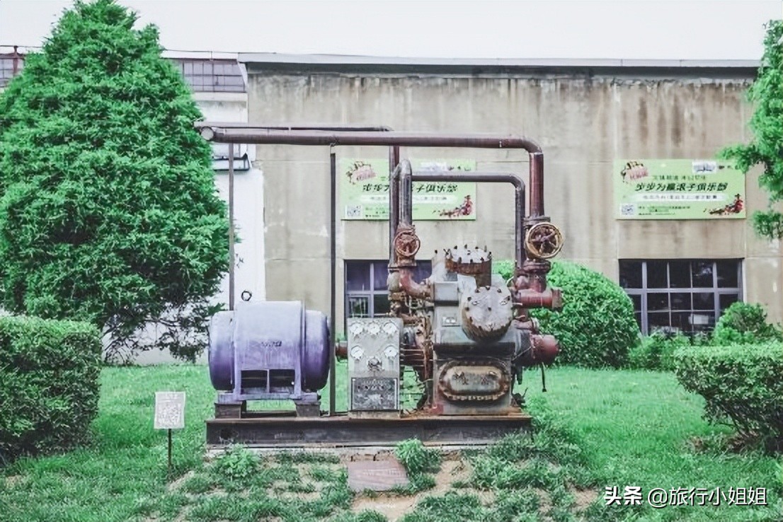 夏日海边微醺氛围感,滨城风光秀丽浪漫气息爆表