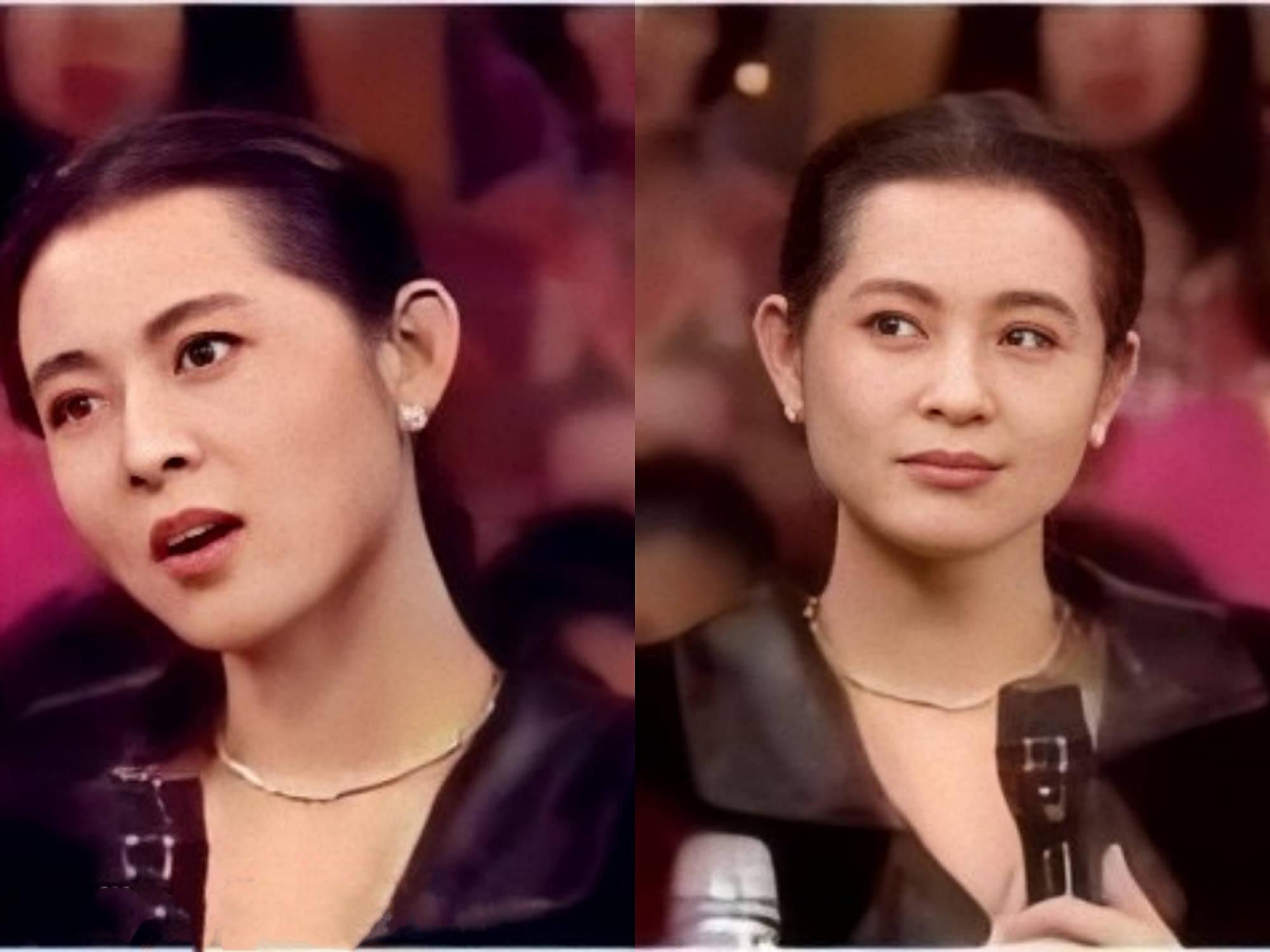 海霞欧阳夏丹央视主持,海霞欧阳夏丹不再任央视主持人