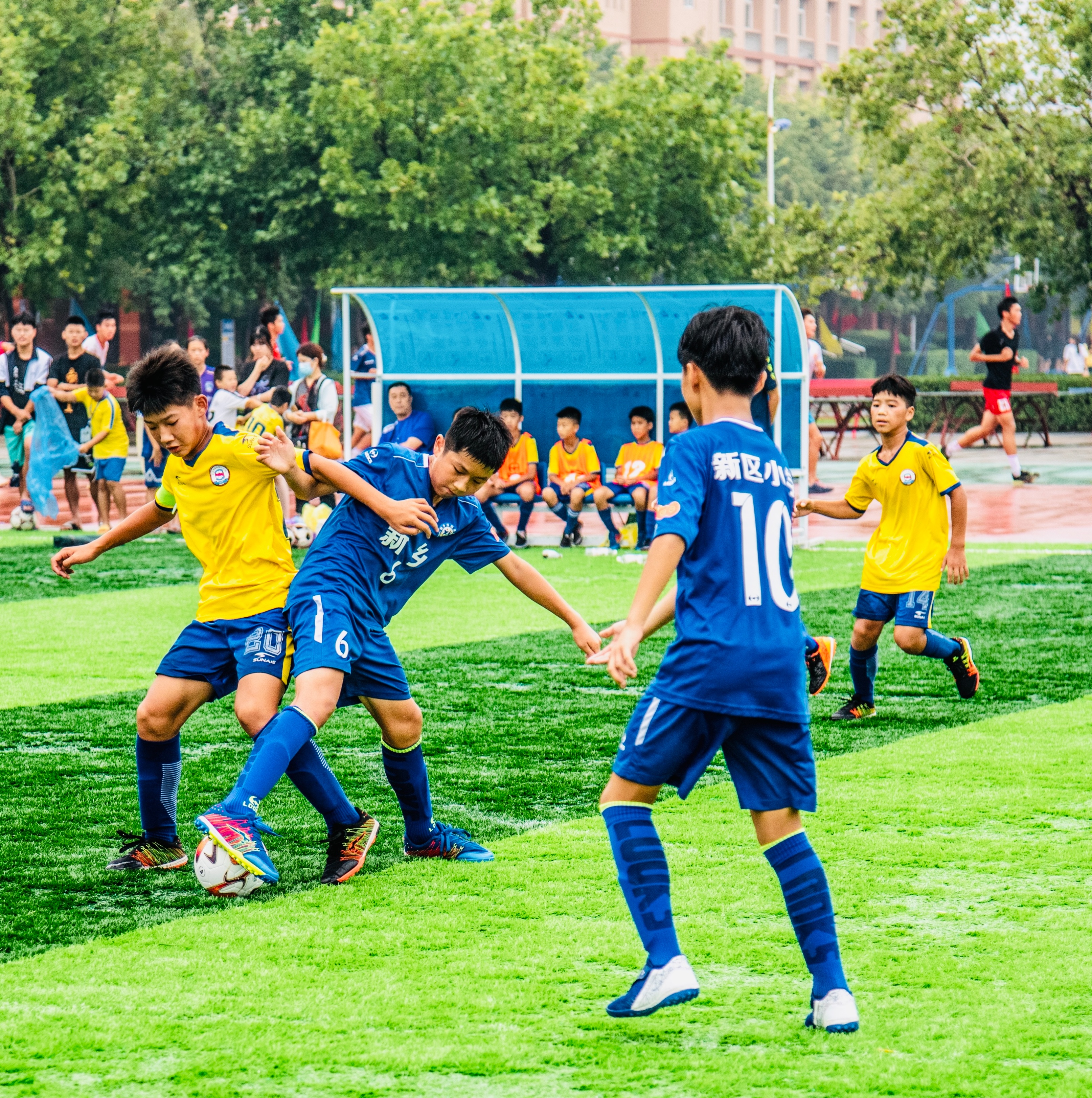 新乡市第十中学省长杯,新乡省长杯足球赛小学男足