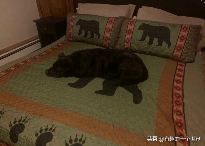 偶然记录的33个瞬间，初看很困惑，看懂后又觉得很妙