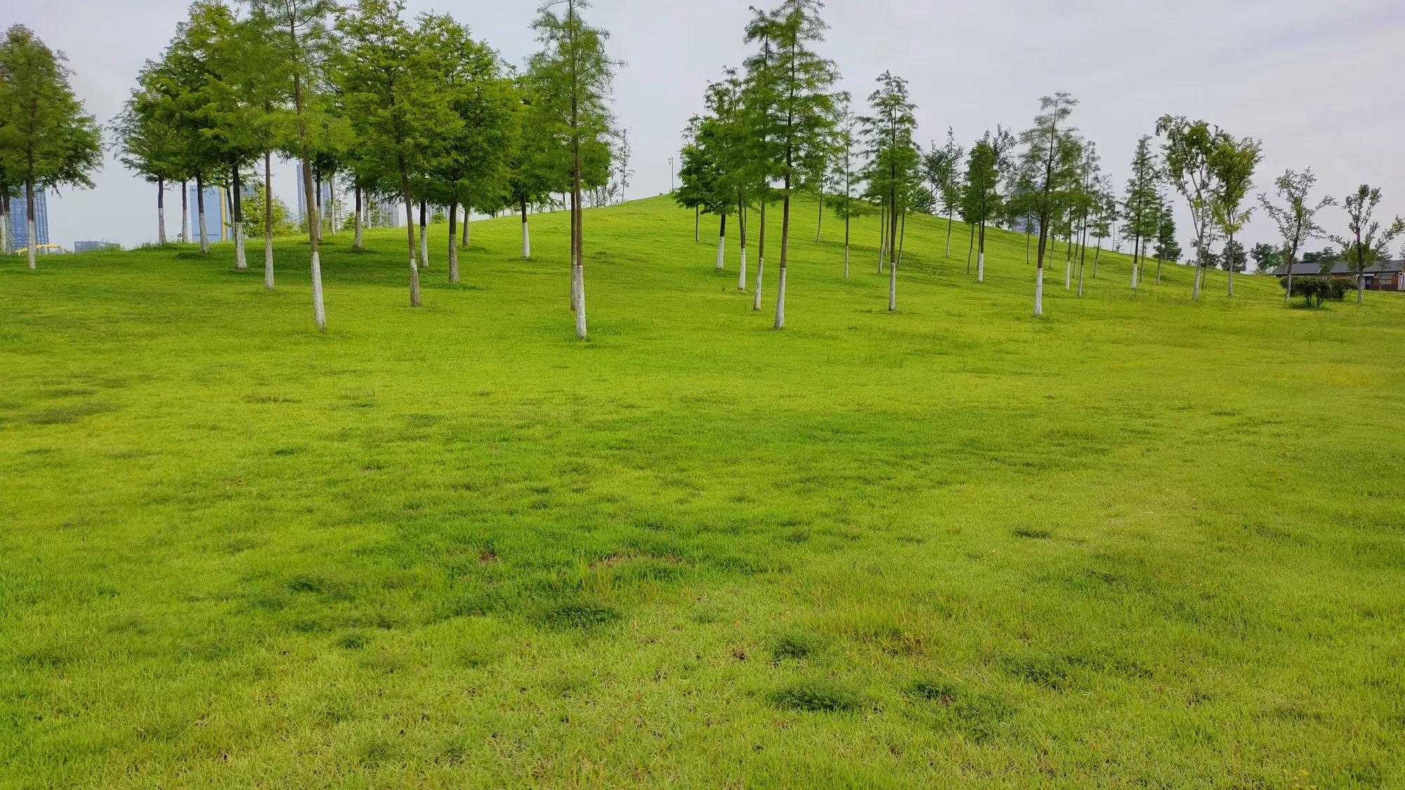 安康到合肥自驾沿途旅游景点,合肥哪些旅游景点春节期间免费