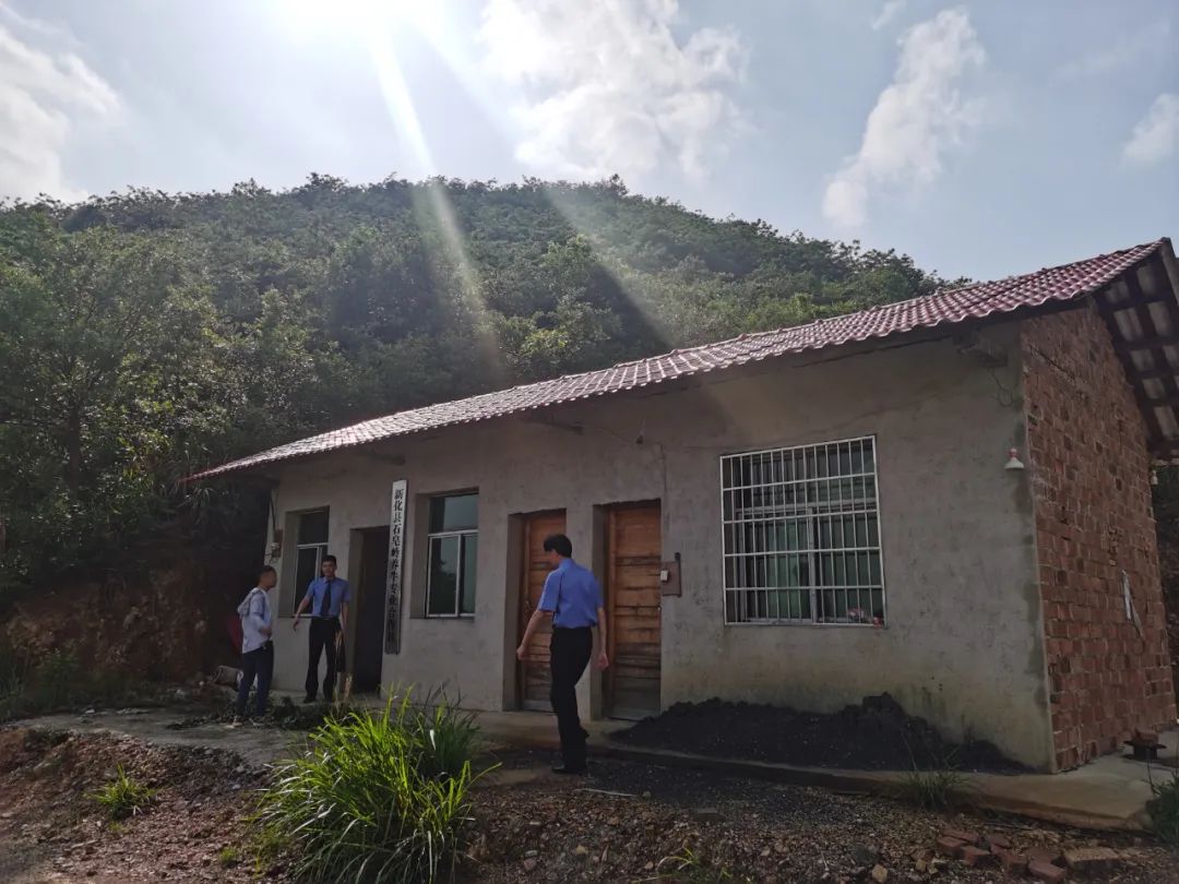 检察机关督促整治非法采矿,非法采矿罪300多万案例