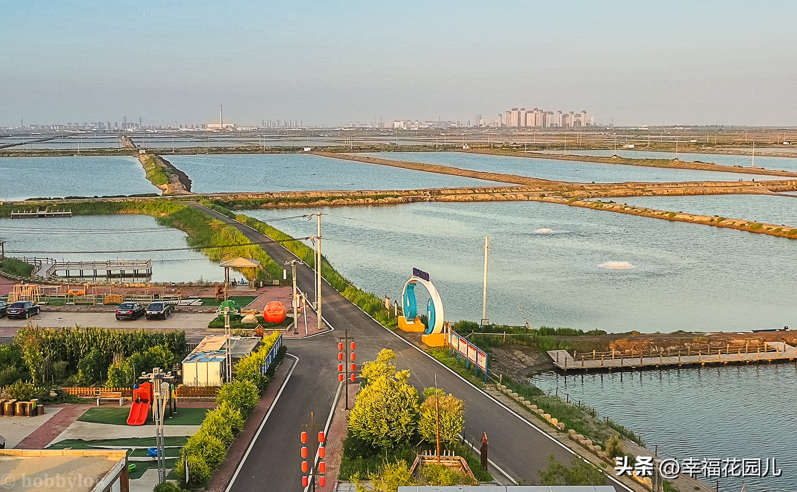 美味河豚有多金贵？养殖就有多娇贵！十里海河豚小镇探秘美食之源