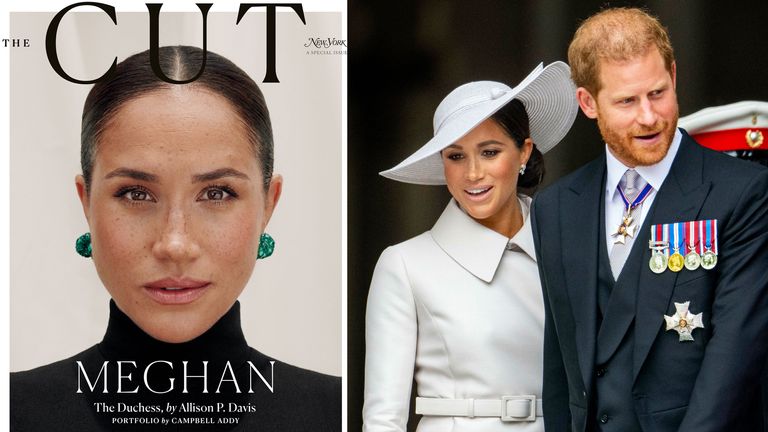 真是外围女？网友扒出梅根与“性*教邪**”的关系，越来越多证据出现